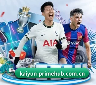 我们在做什么（KAIYUN）